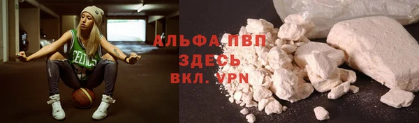 СК Вязьма
