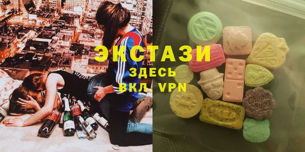 СК Вязьма