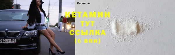 СК Вязьма