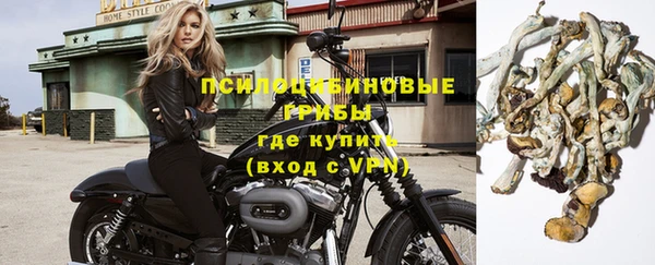 СК Вязьма