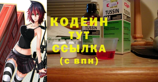 СК Вязьма
