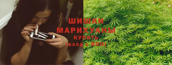 СК Вязьма